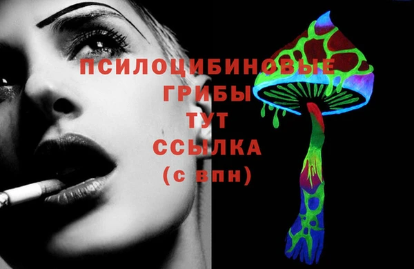 шишки Аркадак