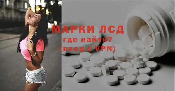 шишки Аркадак