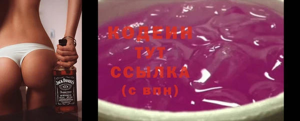 шишки Аркадак
