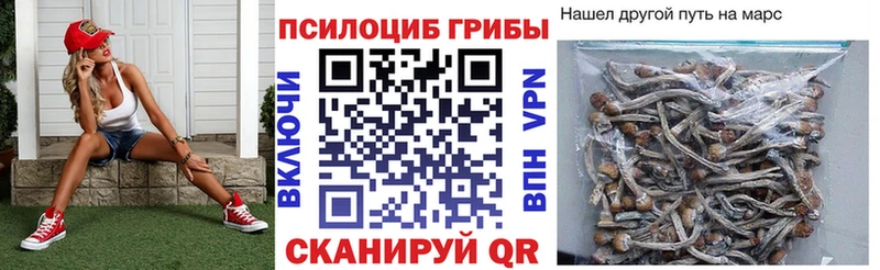 Псилоцибиновые грибы GOLDEN TEACHER  Сурск 
